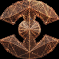 Thumbnail for version as of 15:04, 15 July 2020