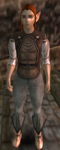 File:Portrait fordanot.png