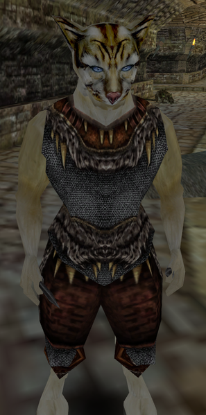 File:Portrait jirris.png