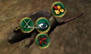 Combat2.jpg