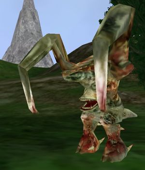 Marfusang2.jpg