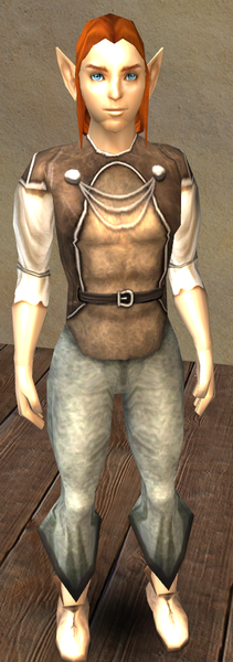 File:Portrait leshollo.png