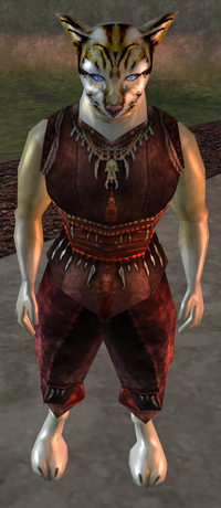 Meoeor