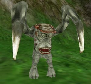 Tefusang2.jpg
