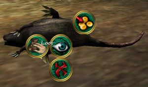 Looting1.jpg