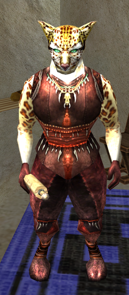 File:Portrait orchibaly.png