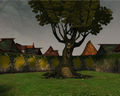 Thumbnail for version as of 15:32, 21 September 2013