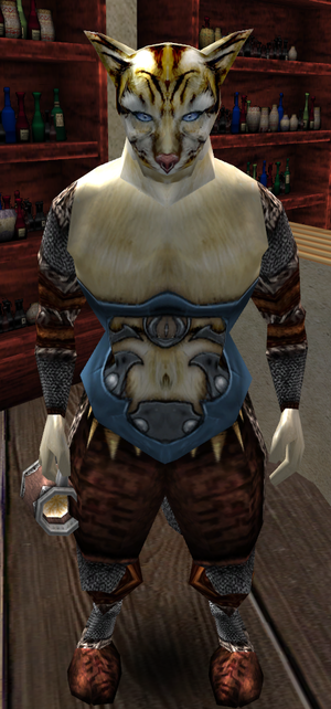 Portrait brado.png