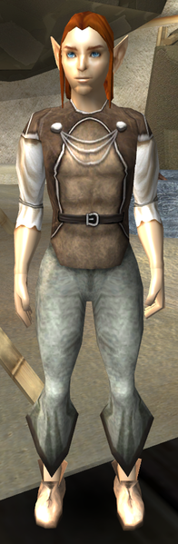 File:Portrait tebengrin.png